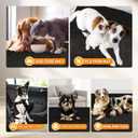 MODIGT Dog Crate Pad Liner for Kennel Training, 29"48" Under Pet Cage Mat Absorbs,Waterproof,Non-Slip,Washable Puppy Pee Pad to Protect Floors(Charcoal)