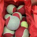 WILSON Youth Tennis Balls - Starter Red, Pack of 36 Balls