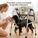 CWV Adjustable Dog Lift Harness for Large Dogs with an Adjustable Standing aid, Portable Dog Dling for Large Dogs Hind Leg Support, Soft Dog Harness for Senior, Disabled, After Surgery Dogs, Large