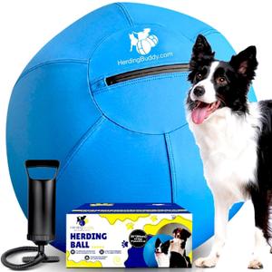 Herding Ball for Dogs - 25-Inch Complete Set for Large Herding Dogs
