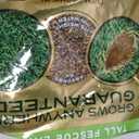Scotts EZ Seed Patch & Repair Tall Fescue Lawns Combination Mulch, Grass Seed and Fertilizer for Bare Spots and Repair, Grows Anywhere, 20 lb (EXP 01/01/27)
