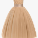 Flower Girl Dress for Wedding Pleated V Neck Satin Tulle Princess Dress Junior Bridesmaids Pageant Formal Ball Gown, No Size, Beige