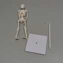 Mini Skeleton Model, 7.8" Small Anatomy Skeleton Figure, Movable Arms and Legs, Human Body Model with Base, Human Bones for Teaching Tool, Decoration