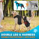 Dog Knee Brace for Back Leg, Adjustable Dog Leg Brace with 4 Stabilizers, Hip Support to Reduces Pain, Ligament Injuries & Luxating Patella & ACL CCL for Small Medium Large Dogs, S