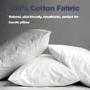 20x20 Down Feather Pillow Inserts Set of 2, 100% Organic Cotton Bedding Throw Pillow Inserts Firm Large Lumbar Pillows in Bed Decorative Pillows for Couch