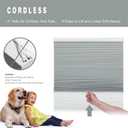 Changshade Cordless Cellular Shades, Blackout Room Darkening Black Out Honeycomb Blinds for Indoor Windows Bedroom, Pull Down Pleated Accordion Blind Easy Install, Shade Size 28" Wx50 H, Gray