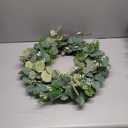 24 Inch Eucalyptus Summer Wreath for Front Door, Summer Spring Wreath for Grapevine Farmhouse with Silk Printing Dollar Leaves Wreaths for Festival Celebration Front Door Wall Window Home Dcor (Green)