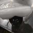 Amazon Basics Cast Iron Kettlebell