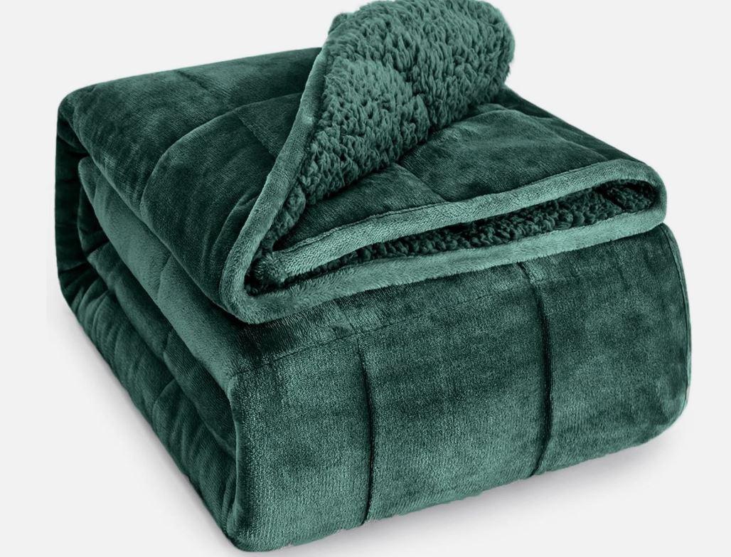 Wemore Sherpa Fleece Weighted Blanket for Adult, 20 lbs Dual Sided Cozy Fluffy Heavy Blanket, Ultra Fuzzy Throw Blanket with Soft Plush Flannel Top, 60 x 80 inches, Green on Both Sides