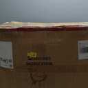 Grace&Grace Professional Saddle Stool Chair with Back Support, Rolling Saddle Ergonomic Stool Heavy Duty for Clinic Dentist Spa Massage Salons Studio (Black, Adjustble Back)