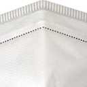 Honeywell Safety NIOSH-Approved N95 DF300 Flatfold Respirator, 20-pack (RAP-74038), White,One Size Fits All