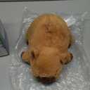 Heatable & Coolable Plushie, Microwave Heating Pad for Period Cramps, Cute Capybara Gifts for Girls & Boys, CAPYBARA with Flower