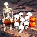 KIMOBER 8PCS Halloween Skull Heads Decor,Plastic Realistic Human Skeleton Skulls Head Prank Props for Party Bar Home Table Decorations (2 x 2.4 x 3 Inches)