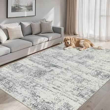 PLHXFR 6x9 Area Rug Living Room: Modern Abstract Washable Carpet Grey
For Bedroom Dining Room Farmhouse Nursery Home,Machine washable,Non Slip,Large Soft Neutral,Stain Resistant, Indoor Floor
Amazon's Choice