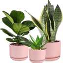 Ceramic Plant Pots with Drainage Hole and Saucer,Modern Indoor Pots for Plants,Ceramic Planter 6.7/5.3/4.3 inchs Set of 3,Indoor Flower Pot with Hole Mesh Pad, for Mom,Pink