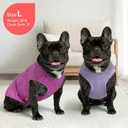 KYEESE 2 Pack Dog Shirts Quick Dry Soft Stretchy Pet T-Shirts with Reflective Label Tank Top Sleeveless Sun Protection Vest Dog Clothes for Small Medium Dogs, Medium, Purple+Pink