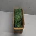 3 Ft Green Christmas Tree with Lights, Timer 8 Modes 50 Warm White Lights Battery Operated Small Artifical Full Christmas Tree for Tabletop Home Office Indoor Outdoor Xmas Holiday Party Decorations