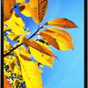 Aynoo Studio Gallery 24x36 Poster Frame, Display Posters 24x36 Picture Frames, For Wall Collage Photo Frame,Black