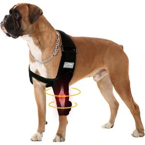 Dog Elbow Protector, Pet Recovery Suit Taper Collar Alternative for Dogs Elbow Dysplasia, Shoulder Dislocation - Offers Elbow Support, Helps Wound Healing, Prevents Licking and Biting, M (Classic Left Leg)