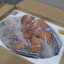 LEDIARY 20" Caged Ceiling Fans with Lights and Remote, Flush Mount Bladeless Ceiling Fan Low Profile, Small Farmhouse Industrial Enclosed Ceiling Fan with Light for Bedroom, Kitchen, Indoor (20 Inch Black)