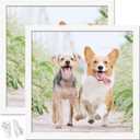 20x20 Picture Frame Set of 2, White Square Photo Frames High Transparent Wall Gallery Desktop Horizontal Vertical for Canvas Collage Photo Poster Certificate 20 x 20 inches