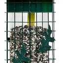 Squirrel Solution200 Squirrel-proof Bird Feeder w/6 Feeding Ports, 3.4-pound Seed Capacity, Free Seed Funnel