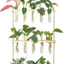 XXXFLOWER Wall Hanging Propagation Station with Wooden Stand 5 Glass Test Tubes 3 Tiers Planters Wall Terrarium for Home Office Plant Hanger Flower Vases Wall Decor Hydroponic Cuttings (Beige)