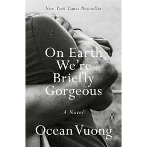 On Earth We're Briefly Gorgeous: A Novel