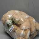 Skylety 10 Pcs Bears Bulk Stuffed Animal Plush Toys 10-14 Inches Birthday Party Favors(Light Brown)