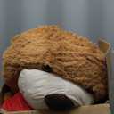 MaoGoLan Giant Teddy Bear 5 Feet - I Love You Red Heart Big Dark Brown 5ft Teddy Bear Stuffed Animal for Girlfriend, Boyfriend, Wife, Lover - Anniversary, Birthday