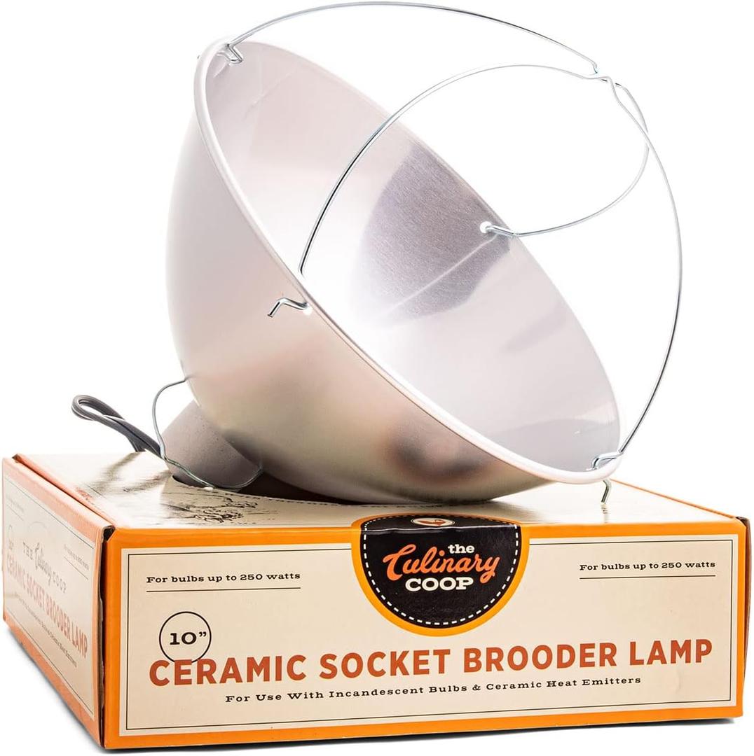 Fluker's Culinary Coop Brooder Lamp for Chicken Coop or Outdoor Animals, 10-Inch
