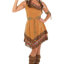 Fun Shack Womens Native American Brown Dress, L