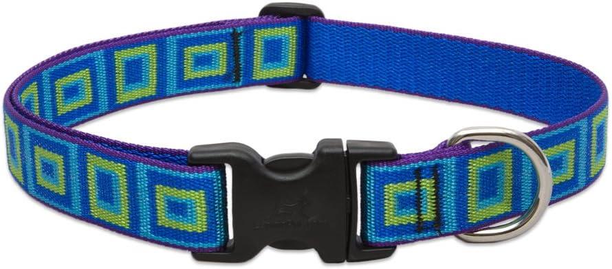 LupinePet Originals 1" Sea Glass 12-20" Adjustable Collar for Medium and Larger Dogs