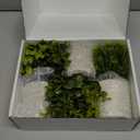 Der Rose 3 Pack Mini Potted Fake Plants Artificial Plastic Eucalyptus Plants Topiaries for Home Office Desk Farmhouse Shelf Room Bathroom Decor(Green)