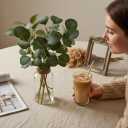 Briful Artificial Eucalyptus Stems in Glass Vase with Faux Water, 14" Fake Plant Eucalyptus Leaves for Home Bathroom Office Farmhouse Wedding Centerpiece Dcor (Clear)