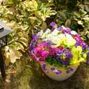 Fanfantoey Artificial Flowers for Outdoor, UV Resistant Fake Plants Outside Decoration, 14 Pcs Realistic Silk Morning Glory Faux Flowers for Porch Patio Gardens Home Decor(14, 4 Mixed)