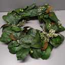 Basil Hill Outdoor Magnolia Leaves Wreath