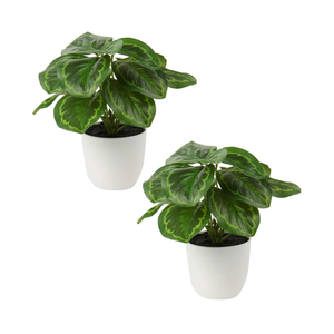 Briful 2 PCS Artificial Potted Alocasia Begonia Calathea Plants Mini Fake Plants in Plastic Pot Small Greenery Faux Plants Indoor for Home Office Desk Room Table Bathroom Bedroom Decorations
