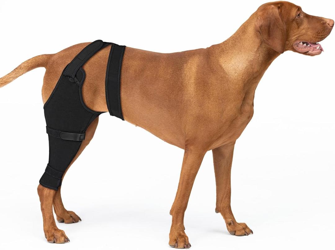 Dog Sleeve for Rear Legs to Stop Licking, Upgraded Surgical Recovery Sleeve for Hind Back Leg Wound,TPLO, ACL Surgery, Light Comfortable Cone Alternative (Right, 2XL)