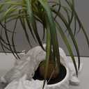Hollyone Fake Plants Artificial Potted Plants Artificial Ponytail Palm Plant in Pots Faux Bonsai Plants for Office Table Desk Shelf Bathroom Bedroom Greenery Decoration Room Indoor Home Decor
