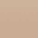 Teacher Created Resources Light Brown Better Than Paper Bulletin Board Roll (TCR77412), 144" x 48"