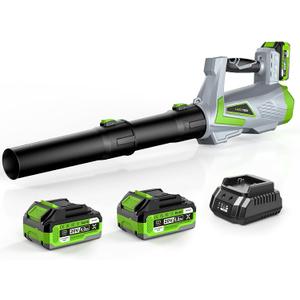 Leaf Blower Cordless, Handheld Electric Leaf Blowers with 2 x 4.0Ah Batteries and Turbo Mode, 5-Speed Lightweight Snow Blower Grass Blowers for Lawn Care, Patio, Yard, Garden