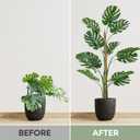 2 Pack 63'' Bendable Moss Pole Monstera Plant Support for Large Climbing Indoor Plants - Stakes for Potted Climbers - Tall Sticks Indoor Trellis for Houseplants - Accessories for Monstera Pot