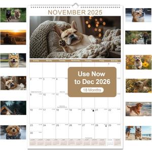 Gannyfer 2026 Wall Calendar, 18 Months 22.75" x 15.5" Calendar 2025-2026, Use Now to DEC 2026, Large Spiral Binding Cute Dog 2026 Calendar, Perfect for Home, School or Office (6 Stickers Included) (Green)