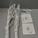 EAMBRITE Lighted Birch Tree Easter Decorations for Home, 2Pack 24 LED Battery Operated/USB Tabletop Mini Small Artificial White Trees with Lights for Christmas Indoor Table Mantel Spring Decor (2FT)