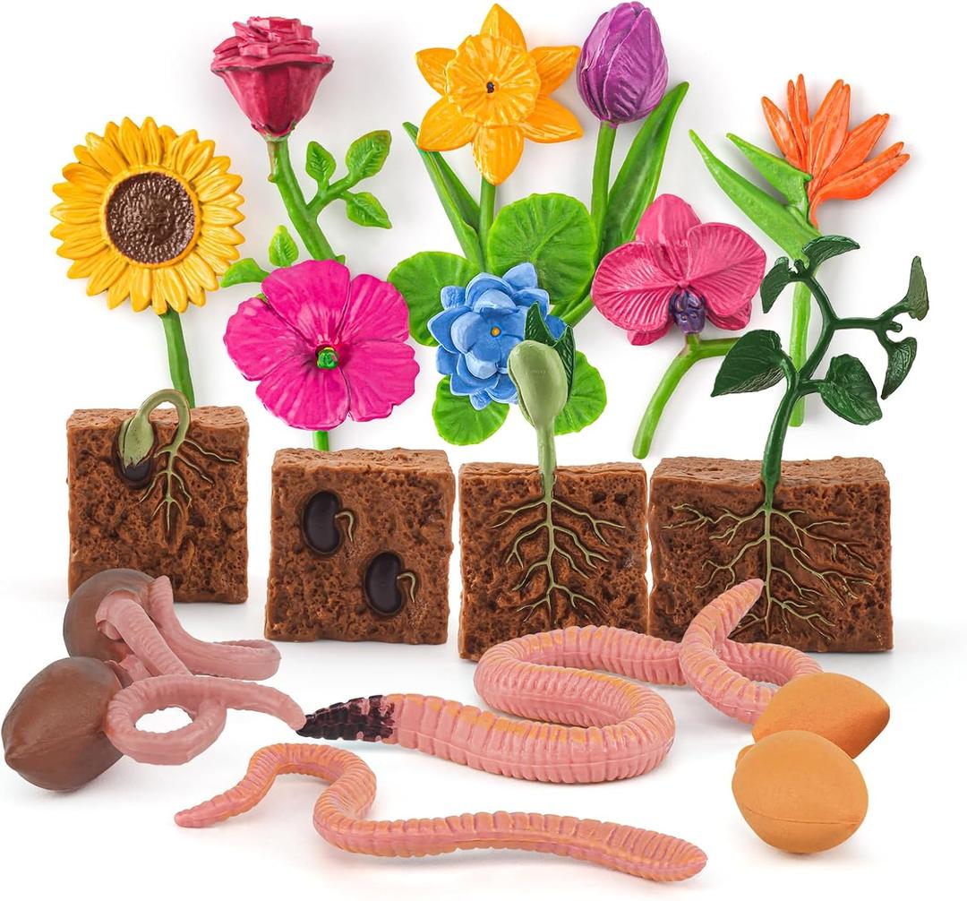 16PCS Plant Growth Cycle Set for Toddlers Kids Preschool Educational Gift Sets Earthworm Fresh Flowers Pea Growth Cycle Table Decorations Party Decorations