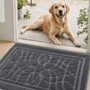 DEXI Front Door Mat for Home Entrance, 35x59 Non-Slip Absorbent Floor Mats Low-Profile Washable Doormat for Entryway, Garage, Patio, Dark Gray