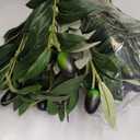 30pcs Faux Olive Leaves Stems 10 Tall Artificial Plants Olive Branches for Small Vase Tabletop Greenery Decor for Home Office Wedding Party (Vase Not Included)