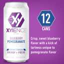 Xyience Blueberry Pomegranate Energy Drink, 16 fl oz can (Pack of 12)