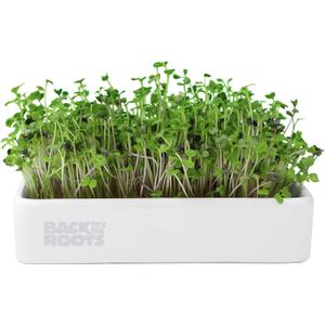 Back to The Roots Organic Microgreens Grow Kit with Ceramic Planter, Expandable Soil, Organic Seeds, and Germination Lid